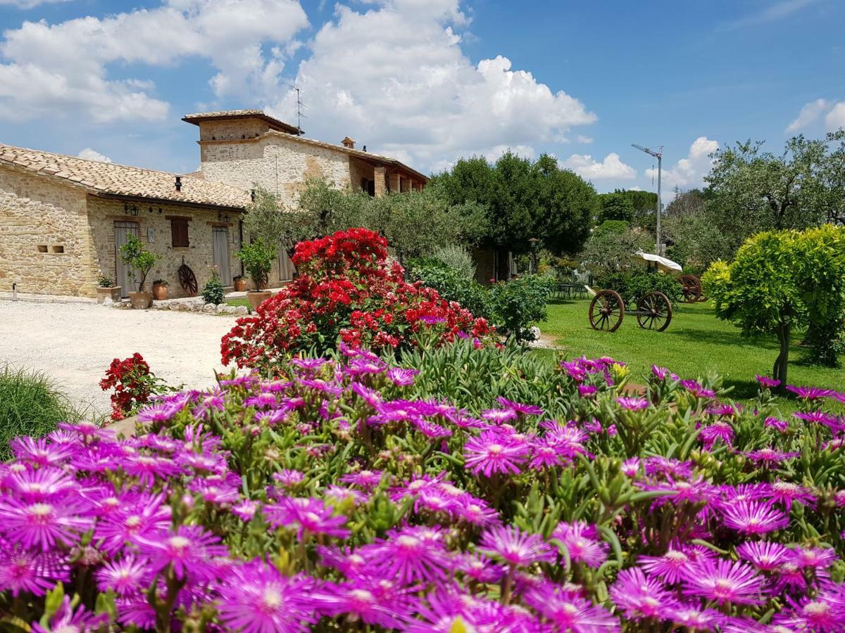Agriturismo Arcobaleno Della Torretta Giano dell'Umbria ภายนอก รูปภาพ